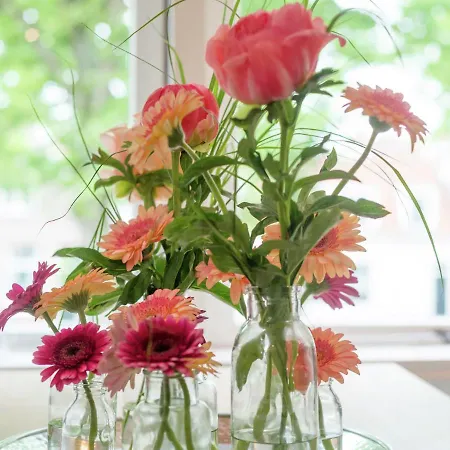 Elegant In Hoorn With Roof Terrace Appartamento *